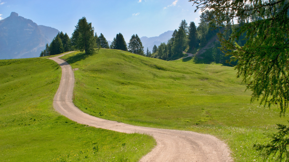 Die Wege zur Nachhaltigkeit sind vielfältig.